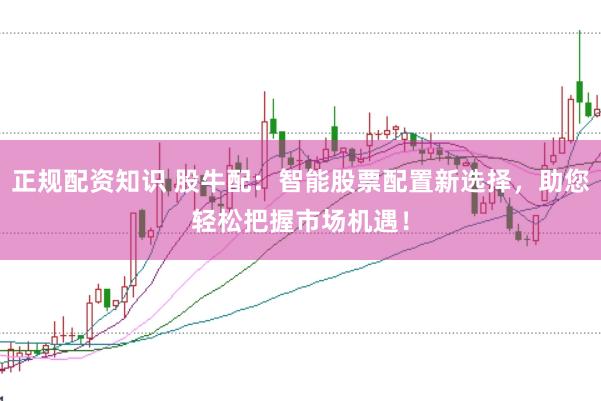 正规配资知识 股牛配：智能股票配置新选择，助您轻松把握市场机遇！