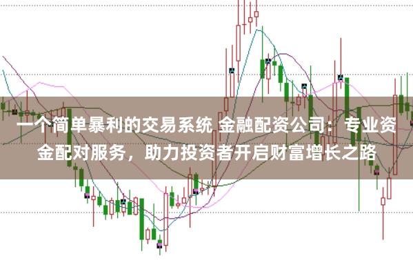 一个简单暴利的交易系统 金融配资公司：专业资金配对服务，助力投资者开启财富增长之路