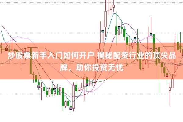 炒股票新手入门如何开户 揭秘配资行业的顶尖品牌，助你投资无忧