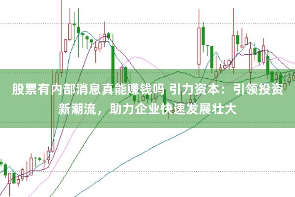 股票有内部消息真能赚钱吗 引力资本：引领投资新潮流，助力企业快速发展壮大