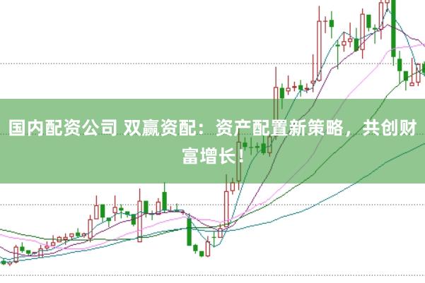 国内配资公司 双赢资配：资产配置新策略，共创财富增长！
