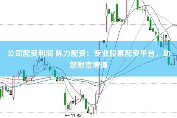 公司配资利润 陈力配资：专业股票配资平台，助您财富增值