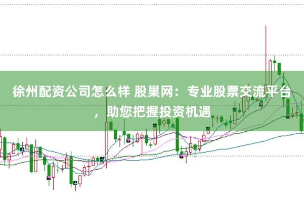 徐州配资公司怎么样 股巢网：专业股票交流平台，助您把握投资机遇
