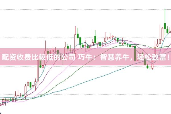 配资收费比较低的公司 巧牛：智慧养牛，轻松致富！