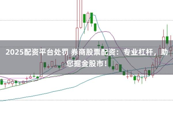 2025配资平台处罚 券商股票配资：专业杠杆，助您掘金股市！