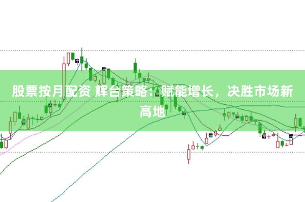 股票按月配资 辉台策略：赋能增长，决胜市场新高地