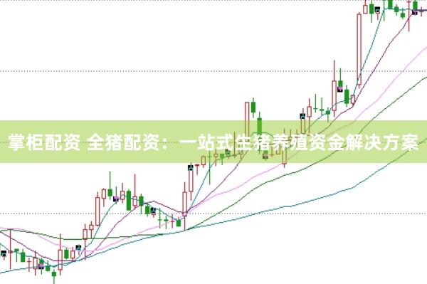 掌柜配资 全猪配资：一站式生猪养殖资金解决方案