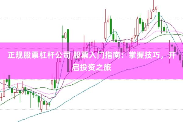 正规股票杠杆公司 股票入门指南:掌握技巧,开启投资之旅