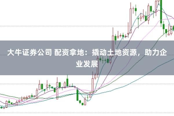 大牛证券公司 配资拿地:撬动土地资源,助力企业发展