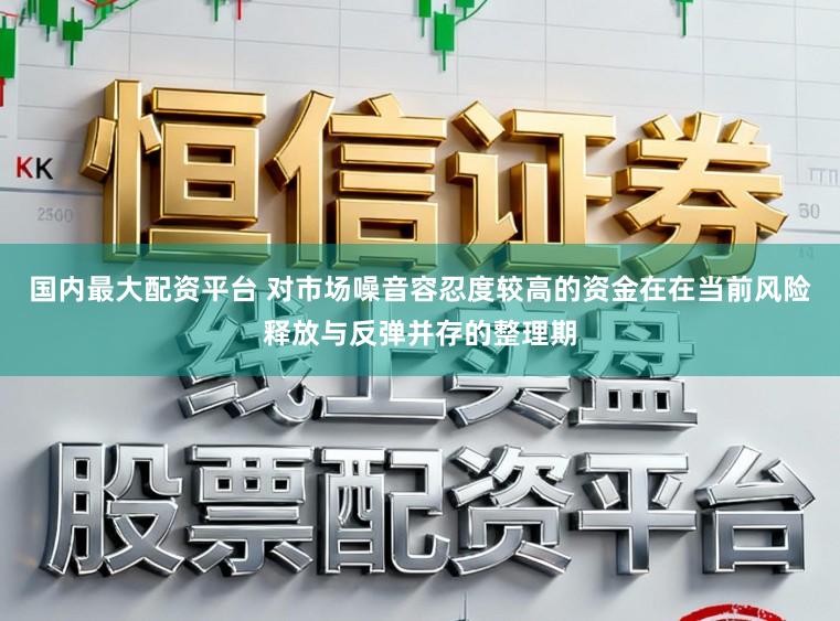 国内最大配资平台 对市场噪音容忍度较高的资金在在当前风险释放与反弹并存的整理期