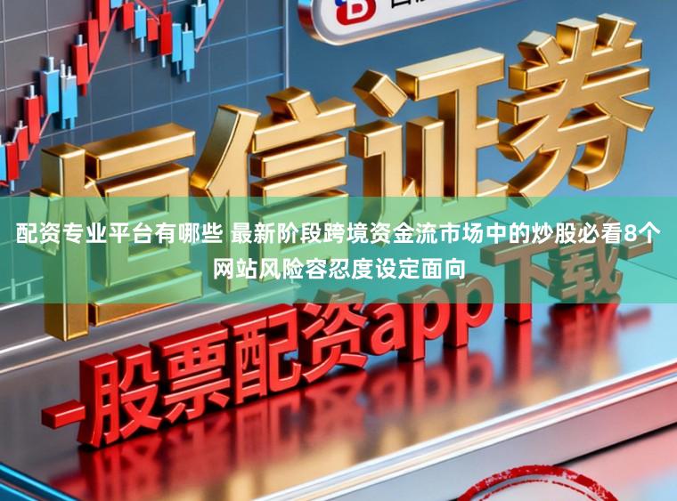 配资专业平台有哪些 最新阶段跨境资金流市场中的炒股必看8个网站风险容忍度设定面向